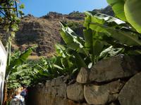 Bananengang &ndash; &copy; Rico Manns (Eberhardt TRAVEL)