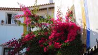 Obidos &ndash; &copy; Petra Sauer (Eberhardt TRAVEL)