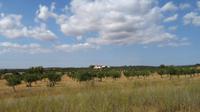Alentejo &ndash; &copy; Petra Sauer (Eberhardt TRAVEL)