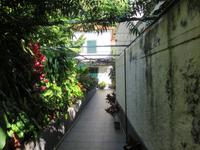 Ponta do Sol - Bananenplantage &ndash; &copy; Marion Kottlos (Eberhardt TRAVEL)