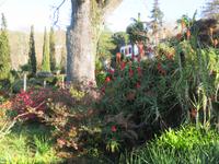 Palheiro Gardens &ndash; &copy; Marion Kottlos (Eberhardt TRAVEL)