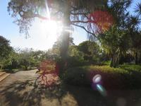 Palheiro Gardens &ndash; &copy; Marion Kottlos (Eberhardt TRAVEL)