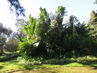 Palheiro Gardens &ndash; &copy; Marion Kottlos (Eberhardt TRAVEL)