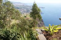 Cabo Girao &ndash; &copy; Susanne Schirmann (Eberhardt TRAVEL)