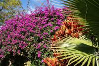Im Kräutergarten &ndash; &copy; Susanne Schirmann (Eberhardt TRAVEL)