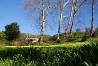 In Palheiros Garden &ndash; &copy; Susanne Schirmann (Eberhardt TRAVEL)