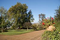 In Palheiros Garden &ndash; &copy; Susanne Schirmann (Eberhardt TRAVEL)