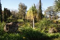 In Palheiros Garden &ndash; &copy; Susanne Schirmann (Eberhardt TRAVEL)