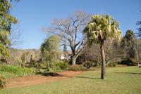 In Palheiros Garden &ndash; &copy; Susanne Schirmann (Eberhardt TRAVEL)