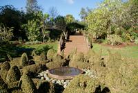 In Palheiros Garden &ndash; &copy; Susanne Schirmann (Eberhardt TRAVEL)