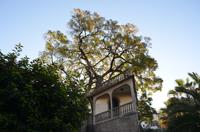 Joo's Garden &ndash; &copy; Helene Johannsen (Eberhardt TRAVEL)