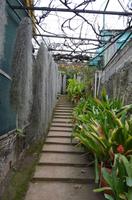Orchideengarten &ndash; &copy; Helene Johannsen (Eberhardt TRAVEL)