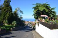 Santana &ndash; &copy; Helene Johannsen (Eberhardt TRAVEL)
