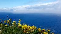 Blick Richtung Amerika &ndash; &copy; Kristina Hesse (Eberhardt TRAVEL)