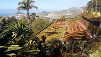 Botanischer Garten &ndash; &copy; Kristina Hesse (Eberhardt TRAVEL)