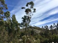 Tag 4 - Picota