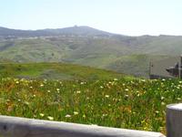 Cabo da Roca &ndash; &copy; Barbara Mihut (Eberhardt TRAVEL)