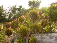 P1180087 &ndash; &copy; Cornelia Ritter (Eberhardt TRAVEL)