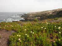 P1180099 &ndash; &copy; Cornelia Ritter (Eberhardt TRAVEL)