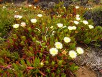 P1180112 &ndash; &copy; Cornelia Ritter (Eberhardt TRAVEL)