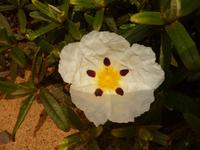 P1180138 &ndash; &copy; Cornelia Ritter (Eberhardt TRAVEL)
