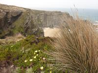 P1180142 &ndash; &copy; Cornelia Ritter (Eberhardt TRAVEL)