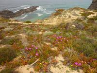 P1180145 &ndash; &copy; Cornelia Ritter (Eberhardt TRAVEL)