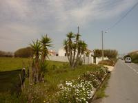 P1180159 &ndash; &copy; Cornelia Ritter (Eberhardt TRAVEL)