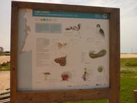 P1180162 &ndash; &copy; Cornelia Ritter (Eberhardt TRAVEL)