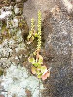 P1180196 &ndash; &copy; Cornelia Ritter (Eberhardt TRAVEL)