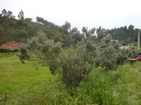 P1180217 &ndash; &copy; Cornelia Ritter (Eberhardt TRAVEL)