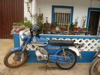 P1180220 &ndash; &copy; Cornelia Ritter (Eberhardt TRAVEL)