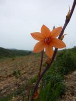 P1180233 &ndash; &copy; Cornelia Ritter (Eberhardt TRAVEL)
