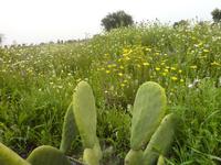 P1180234 &ndash; &copy; Cornelia Ritter (Eberhardt TRAVEL)