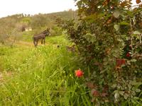 P1180247 &ndash; &copy; Cornelia Ritter (Eberhardt TRAVEL)