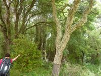 P1180252 &ndash; &copy; Cornelia Ritter (Eberhardt TRAVEL)