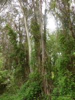 P1180254 &ndash; &copy; Cornelia Ritter (Eberhardt TRAVEL)
