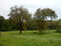 P1180257 &ndash; &copy; Cornelia Ritter (Eberhardt TRAVEL)