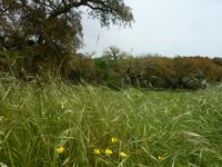 P1180258 &ndash; &copy; Cornelia Ritter (Eberhardt TRAVEL)