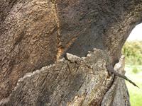 P1180262 &ndash; &copy; Cornelia Ritter (Eberhardt TRAVEL)