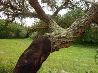 P1180264 &ndash; &copy; Cornelia Ritter (Eberhardt TRAVEL)