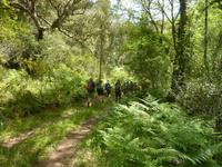 P1180316 &ndash; &copy; Cornelia Ritter (Eberhardt TRAVEL)