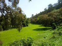 P1180326 &ndash; &copy; Cornelia Ritter (Eberhardt TRAVEL)