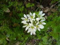 P1180333 &ndash; &copy; Cornelia Ritter (Eberhardt TRAVEL)