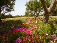 P1180360 &ndash; &copy; Cornelia Ritter (Eberhardt TRAVEL)