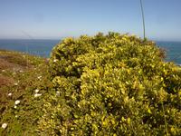 P1180392 &ndash; &copy; Cornelia Ritter (Eberhardt TRAVEL)