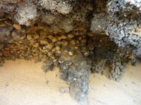 P1180396 &ndash; &copy; Cornelia Ritter (Eberhardt TRAVEL)