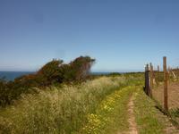 P1180428 &ndash; &copy; Cornelia Ritter (Eberhardt TRAVEL)