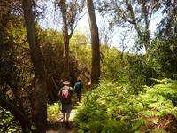 P1180444 &ndash; &copy; Cornelia Ritter (Eberhardt TRAVEL)