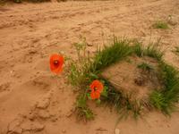 P1180502 &ndash; &copy; Cornelia Ritter (Eberhardt TRAVEL)